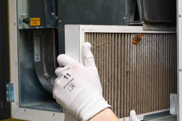 Best Air Duct Cleaning Near Me  in Livonia, MI