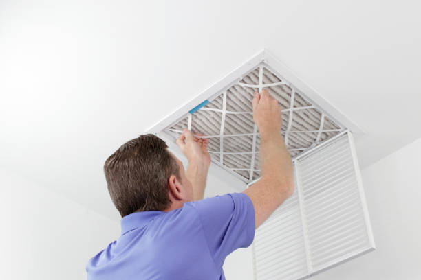 Best Air Duct Sanitizing Services  in Livonia, MI